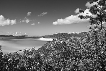 Image showing Whitehaven Beach, Australia