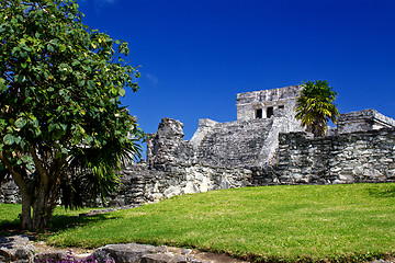 Image showing Famous archaeological ruins of Tulum in Mexico