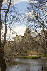 Image showing Central Park Trees in New York City