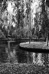 Image showing Black and White view of Fonti del Clitunno in Umbria