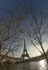 Image showing Winter view of Eiffel Tower in Paris