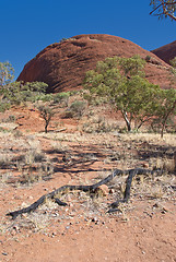 Image showing Australian Outback