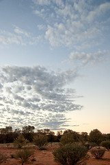 Image showing Australian Outback