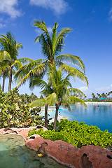 Image showing Colors of Nassau, Bahamas