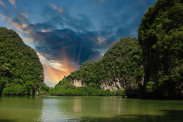 Image showing Vegetation of Thai Islands