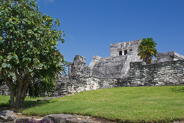 Image showing Famous archaeological ruins of Tulum in Mexico