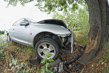 Image showing Car against a Tree, Italy