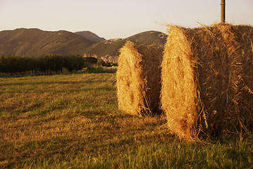 Image showing Hay Bales, Tuscany