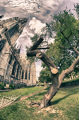 Image showing Trees and Monuments in Burggarten, Vienna