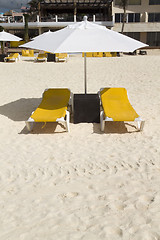 Image showing Lounge Chairs with Umbrella