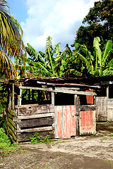 Image showing Caribbean shack.