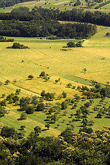 Image showing countryside