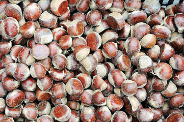 Image showing Raw chestnuts