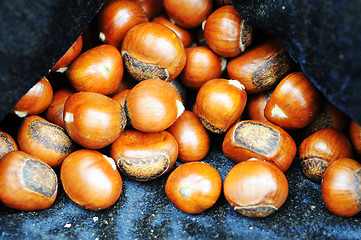 Image showing Fried chestnuts