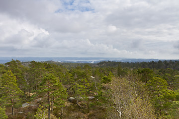 Image showing view over forest with cloudy sky