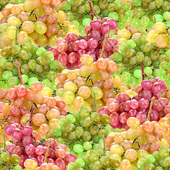Image showing Seamless pattern of fresh ripe motley grape