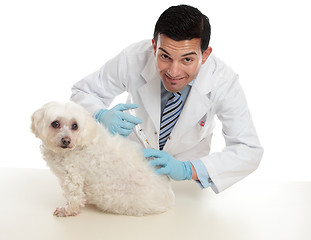 Image showing Vet giving pet dog immunisation or other treatment