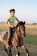 Image showing horse galloping