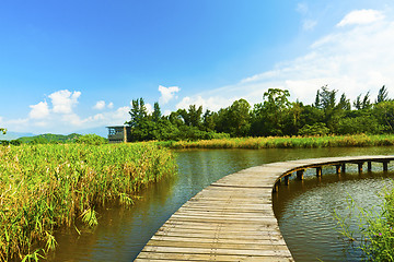Image showing Wetland pond and wooden bridge in a clear sky