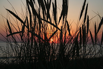 Image showing sunset