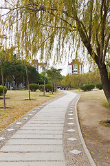 Image showing Walkway in a university