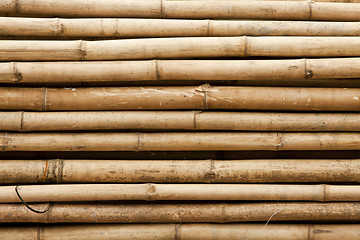 Image showing Bamboo sticks background