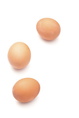 Image showing Eggs isolated on white background