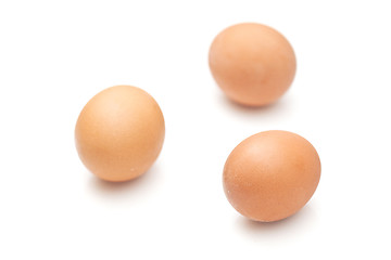 Image showing Eggs isolated on white background