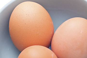 Image showing Eggs isolated on white background