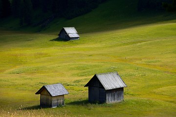 Image showing Meadow