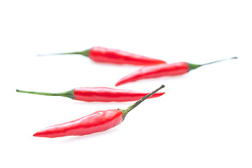 Image showing Chilli isolated on white background