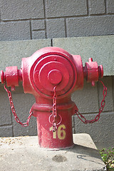 Image showing A fire hydrant