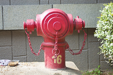Image showing A fire hydrant