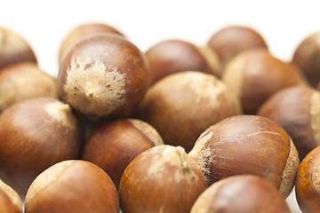 Image showing Chestnuts isolated on white background