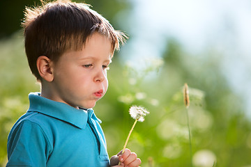 Image showing Boy with dandelion