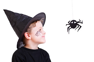 Image showing Boy in witch hat and black spider