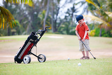 Image showing Young golfer