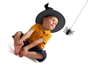 Image showing Spider hunting