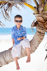 Image showing Little boy sitting on palm