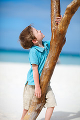 Image showing Little boy at tropical beach