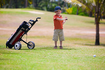 Image showing Young golfer