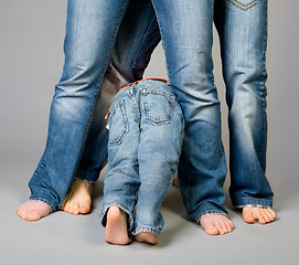 Image showing Jeans family