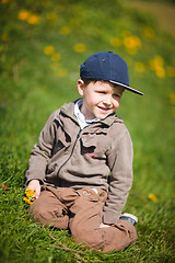 Image showing Boy With Dandelion