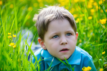 Image showing Small boy in meadow