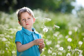 Image showing Boy With Dandelion