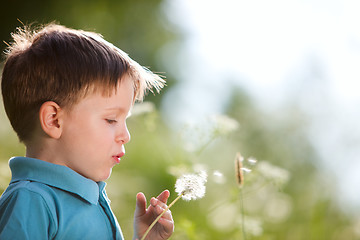 Image showing Boy with dandelion