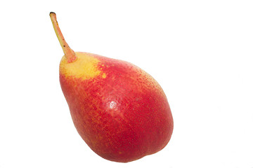 Image showing desert pear