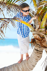 Image showing Little boy on palm tree