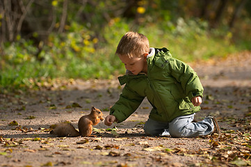 Image showing Little boy and squirrel