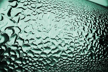 Image showing Green drops of water - light from backside. Macro